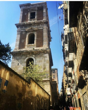 Trebis, Napoli
